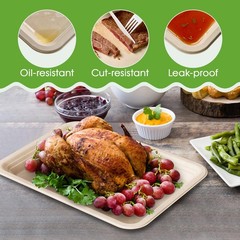 ECOLipak 100 Pack 14 in Compostable Natural 13.8 x 9.8 inches, Nature-100pack