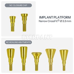 Healing Cap Abutments NC/RC Analog Cover Screw Titanium Fit Straumann ITI BLT