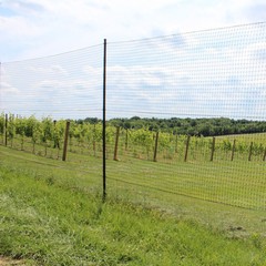 10′ Deer Fence Heavy Line Posts Galvanized PVC Coated Steel 61 Pack
