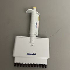 Eppendorf Research 12 Channel Pipette 100 10-100 uL Pipetman Pipettor