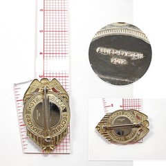2012 Allied Barton Security Services Badge Gold-Silver Tone Pin Eagle Obsolete