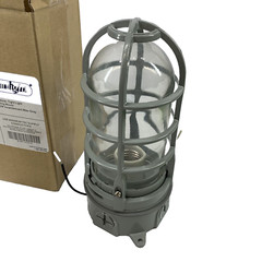 Econolight 150w Industrial Moisture Tight Light Ceiling Mount Incandescent Gray