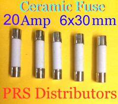 5 Pieces Panasonic Microwave Ceramic Fuse 20A 250V 6X30mm USA SELLER