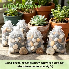 10 LB Mixed River Rocks, 0.3-0.5 Inches High Polished Pebbles for Indoor Plan…