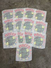 Lot of 13 Vintage Pisces Zodiac Sign 70s T-Shirt Heat Transfers NOS