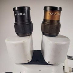 AmScope SM-4B Series 3.5-22.5x Stereo Microscope w/double Arm Stand Wide View