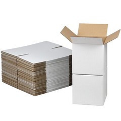 6x6x6 Inches Shipping Boxes Set of 40, White Corrugated Cardboard Box Literat…
