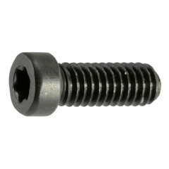 Black Oxide Star Drive Fillister Head Gun Screws 10 Pcs. 640 X 3/8 T10 Tor