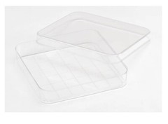 (500/Cs) FISHERBRAND 100mm x 100mm PS Square Petri Dishes w/ Grid FB0875711A