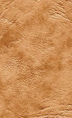 Clairefontaine Basic Large Clothbound Notebook (6 x 8.25) TAN 192 Pages