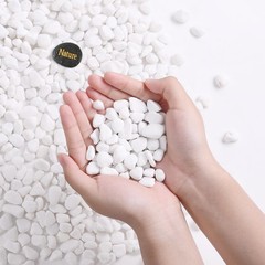 10 LB White River Rocks, 0.3-0.5 Inches Pebbles for Indoor Plants, Aquarium R…