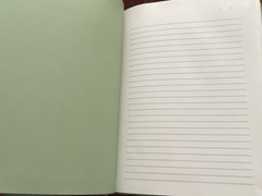 Cat Lovers Journal 240 Lined Pages Diary Hard bound With Band Closure