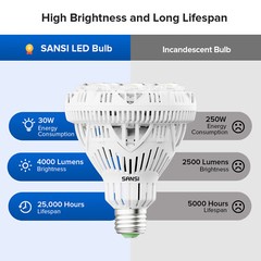30W (200W Equiv) LED Light Lamp LED Spot Light Bulbs 4000lm 5000K E26 BR30 SANSI