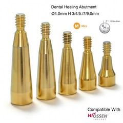 Hiossen Implant System Zest Locator Healing Transfer Abutment Impressions Analog