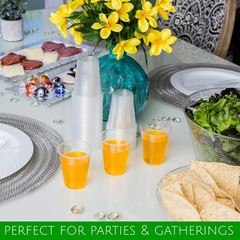 5 Oz Disposable Plastic Medium Weight Clear Drinking Cups 100 Count
