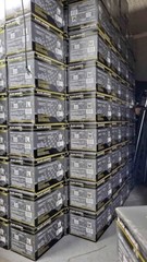 6 Mil Advance Black Nitrile Exam Gloves Powder Latex Free Case 1000 PCS Large