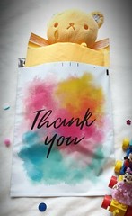 100 Designer Poly Mailers Plastic Envelopes Shipping Bags Custom 10×13