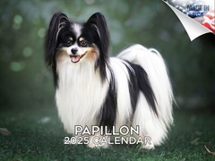 Papillon Dog Breed Calendar 2025 12×18 Made in USA