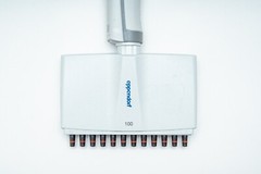 Eppendorf Research Plus Multichannel Pipettor, 12 Channel, P100