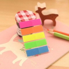 100Pcs Fluorescence Sticky Notes Memo Flags Bookmark Sticker NEW