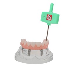 Kilgore NISSIN Compatible Dental Models & Teeth Set M6001-1, M6027, M8011, M8024