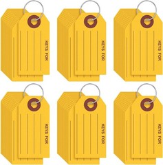 250 Pcs Yellow Key Tags with Labels and Rings: 1.38 X 2.76 Inches, 250 Labels, C