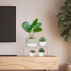 Rattanview 3 Pcs Extra Large 12,11,10.25 Inch Acrylic Display Risers Clear Acryl