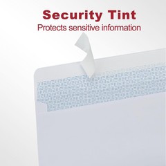Zzrywuty #10 Letter Size Mailing Envelopes for Business, 4.125 x 9.5 inches