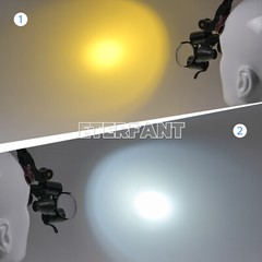 ETERFANT Dental 3.5X Surgical Headband Binocular Loupes+5W LED Head Light 2Leds