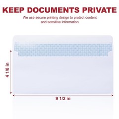Zzrywuty #10 Letter Size Mailing Envelopes for Business, 4.125 x 9.5 inches