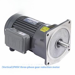 750W 22mm Adjustable Speed Three-Phase Deceleration Reduction Gear Motor