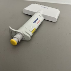 Eppendorf Research 12 Channel Pipette 100 10-100 uL Pipetman Pipettor