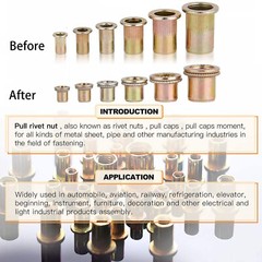 320PCs SAE Rivet Nut Kit For Rivnut Tool Nut Setter Thread Setting Nutsert Gun