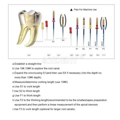 AZDENT Dental Endo Rotary Files Gold Taper NITI Endodontic Root Files SX-F3 25MM
