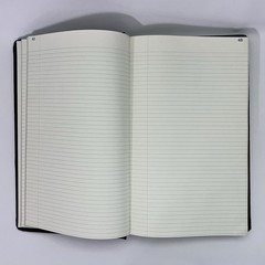 Vintage National Blank Book Company Record Account Ledger Book 300 Pages