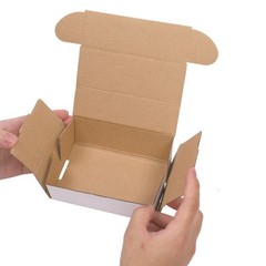 50 WHITE CORRUGATED MAILERS 6x4x2 Shipping Packing Box Mailer