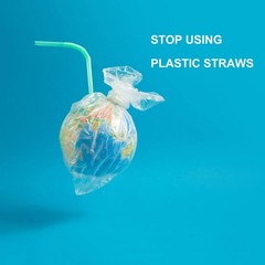 Eco-friendly Bendable postable PLA Sts – Plasticl