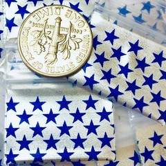 BaggiesSince1987 – 1034 Design Zip Bags 1000PCS Metallic 25 DSN MIX, READ DETAIL