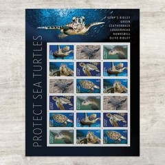 United States Postal Service Protect Sea Turtles 2024 5 Sheets Of 18