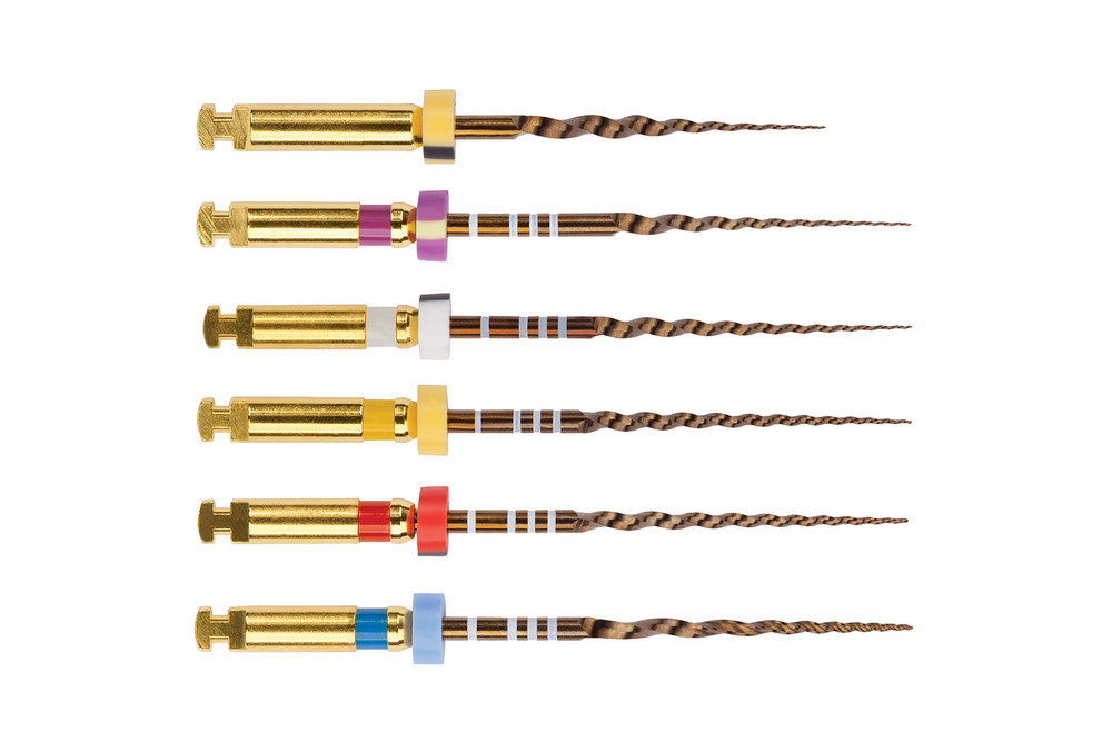 Dentsply A0409231G0103 ProTaper Gold Rotary Files Assortment Kit 31mm PTGRA31 6P