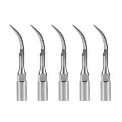 Dental Detachable Ultrasonic Scaler Handpiece Fit EMS HW-3H / 5*Tips da