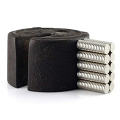 200 Strong Rare Earth Neodymium Disc Magnets 8 x 1mm (approx. 5/16 x 1/32 inch.)