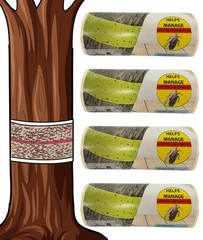 W4W, Spotted Lantern Fly Tree Trap 4 Pack (Each Roll is 30 Feet Long), Yellow