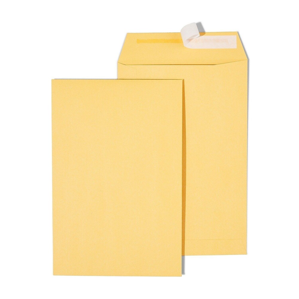 Prinko 5″x9″ Mailing Shipping Kraft Catalog Envelope, Self-Seal, 24Lb, 25/CT