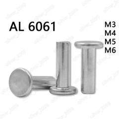 Aluminum 6061 Flat Head Rivets M3 M4 M5 M6