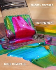 Nicpro Iridescent Black Acrylic Paint, 8.45oz / 8.45 Fl Oz (Pack of 1),
