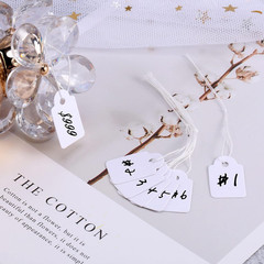 500 Pcs Small Price Tags with String Attached 0.6 X 0.95 in White Blank Marking