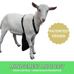 Urine Scald & Odor Control OLOR Buck Apron™ with Harness – Goats/Sheep X-SMALL