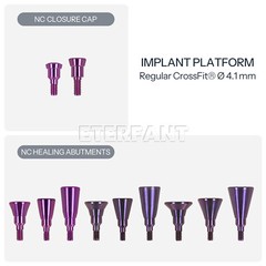 Healing Cap Abutments NC/RC Analog Cover Screw Titanium Fit Straumann ITI BLT