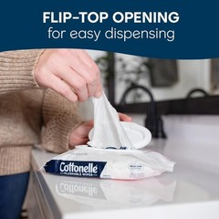 Fragrance Free Flushable Wet Wipes, Adult Wet Wipes, 2 Flip-Top Packs